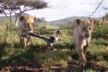The Lion King 2019 Hindi dubbed thumb 